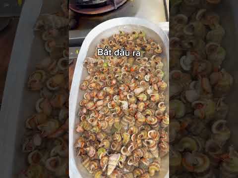 Dụ ốc ra khỏi vỏ
