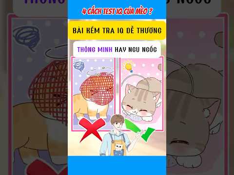 4 Cách Test IQ Của Mèo