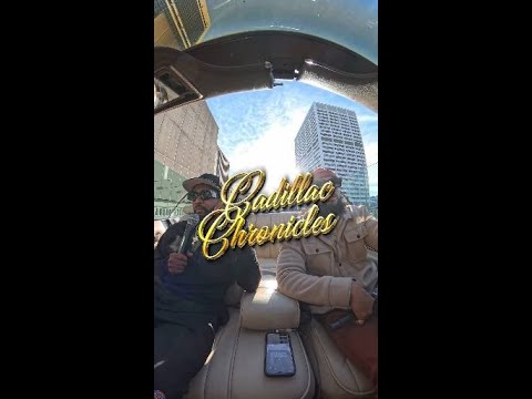 The Art of Baking: From Classic Bread to Artisan Pastries