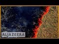 Amazon Rainforest Fires and Impact