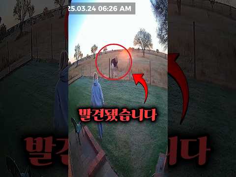 마당에서 발견 된 알에서 놀라운게 태어났다