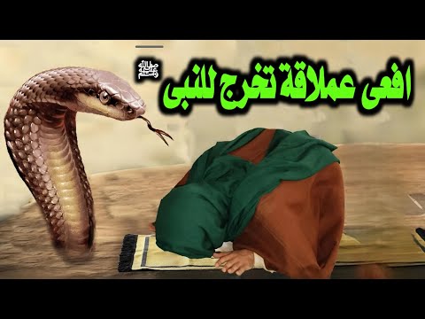 ثعبان ضخم انتظر النبى ﷺ لمدة 1200 عام فماذا فعل النبى معها فما قصة هذا الثعبان