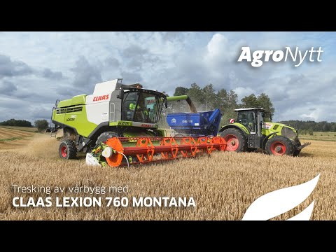 Tresking av vårbygg med CLAAS LEXION 760 MONTANA