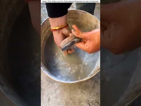 This Guy Found A Precious Bracelet 😱
