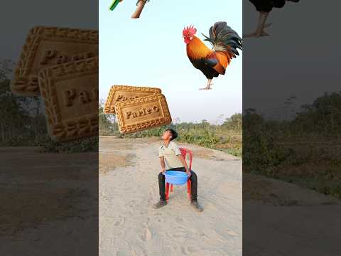 Flying crying babies Catching vs parle-G hen, parrot & puppy & yellow lizard- #funny #short