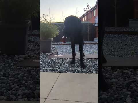 christmas is coming guys! #merrychristmas