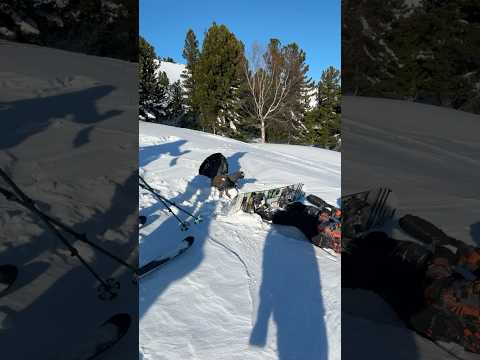 #funny #birds #snow #snow #wintersports #skiing #winter #fyp #trending #viralshorts