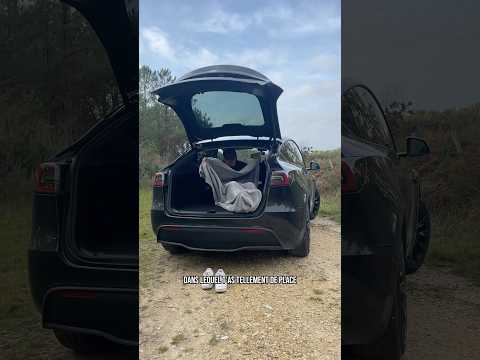 La VOITURE la plus VENDUE au MONDE 🤯 #tesla #modely