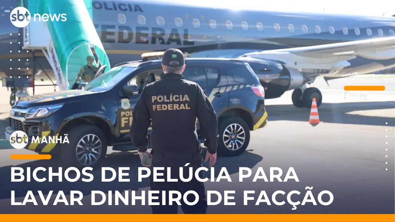 SBT Notícias: Operação revela uso de bichinhos de pelúcia para lavar dinheiro de facção
