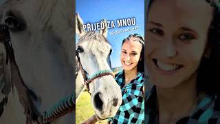Bude fanouškovský sraz ? 😍🐎