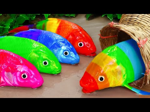 Amazing Catch Ornamental Fish In Giant Colorful Eggs, Goldfish, Black Guppy, Catfish, Baby Turtles