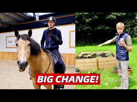 Why I Chose To Ride My Horse Only With a Neckrope + Vegetable Garden Update