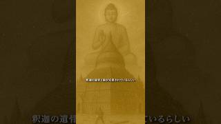 釈迦の遺骨が眠る場所の歴史#歴史 #世界史 #世界遺産