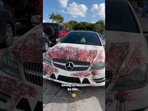 Miami 🎃👻Halloween #miami #halloween #youtubeshorts #cubanos