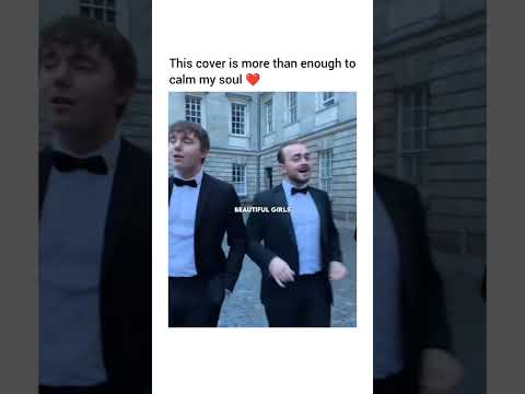 The harmony in their voices is unreal 🤯Song: Sean Kingston - Beautiful Girls (Cover by Trinitones)