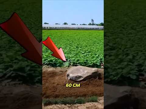 Gunung keramat di cina⁉️😱😱