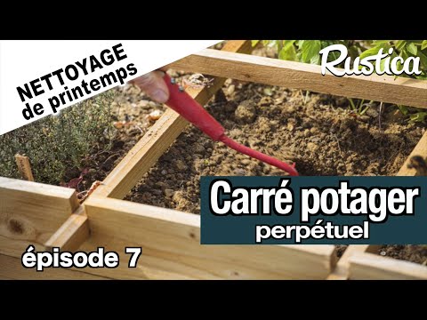 Carrés potager perpétuels au printemps -7- coup de froid sur les artichauts