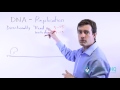 DNA Replication Concepts and Processes