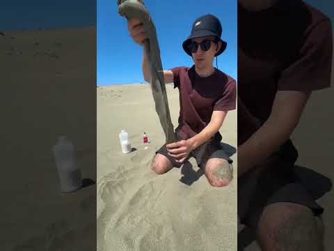 Desert Experiments That Stun(@艺术馆)