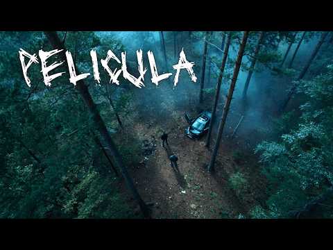 ¡Una película de terror que no te puedes perder! Luego del accidente, la sombra los persigue
