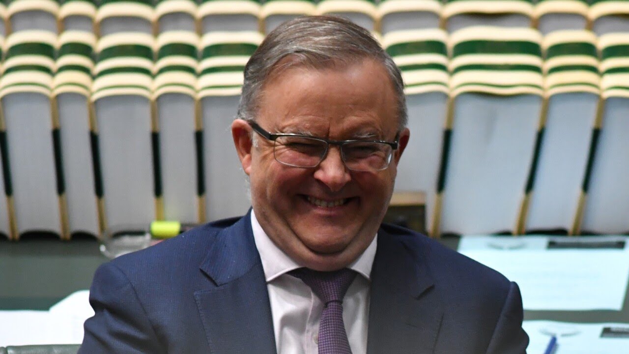 Albanese might be ‘Too Cocky for his own Good’