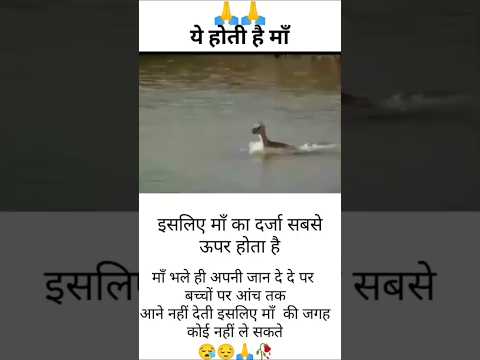 इसीलिए मां का दर्जा सबसे ऊपर होता है#short