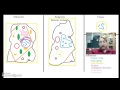 Viruses and Eukaryotic Cell Functions