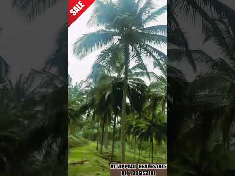 land for sale in attapadi #attapadihills #nature #attappadi #love #travel #statusvideo #trip