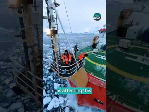 Follow ITV News to see more from ‘Antarctica: End of The Earth’. #itvnews #climatechange #antarctica