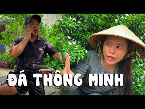 Đá Thông Minh #videogiaitri #vochongson #nguyenhuyvlog
