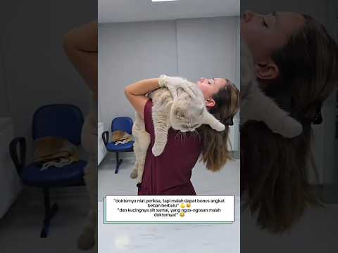 "Dokter ini dapat pasien super gembul! 😹 beratnya gak masuk akal!"