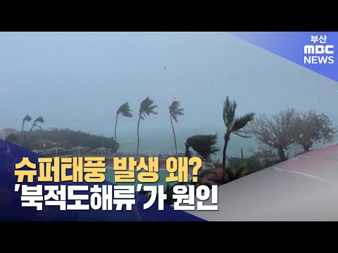 '수퍼태풍 발생' 매커니즘 밝혀졌다 (2024-03-07,목/뉴스데스크/부산MBC)