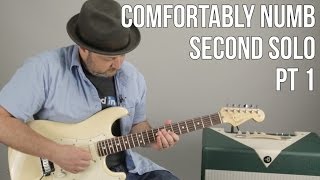 Pink Floyd Comfortably Numb Guitar Solo Lesson Videos Kansas
