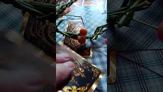 Online tarot reading spiritualevents co uk  #tarot #tarotreading #tarotreader