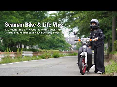 リトルカブの現状とこれからのこと｜Honda Little Cub｜休日バイクVlog