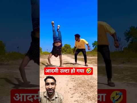 A disabled duckling helps his cat friend 🐥 #DuckRescue #CuteAnimal #AnimalRescue 348