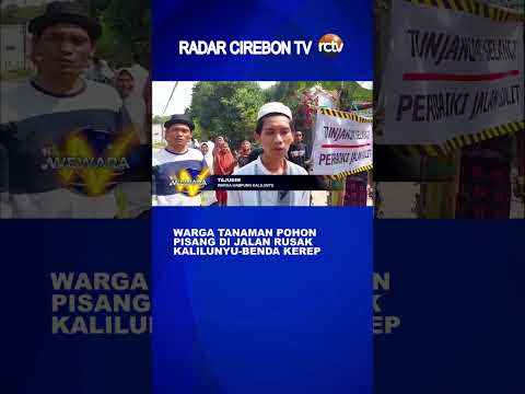 Warga Tanaman Pohon Pisang di Jalan Rusak Kalilunyu Benda Kerep
