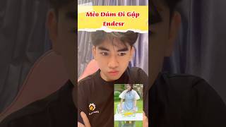 Mèo , em ấy dám làm đi gặp Endesr à #chuyensinhfreefire