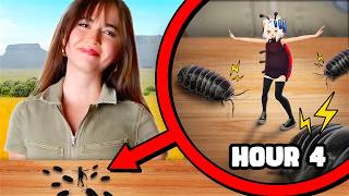 I Survived as a Bug in an Animal Sanctuary