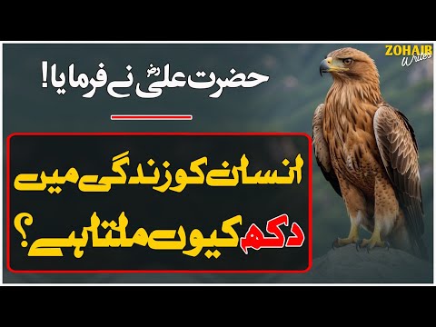 Insan Ko Zindagi Main Dukh Kyn Milta Hai? | Hazrat Ali (R.A) Ne Farmaya | Hazrat Ali Famous Quotes