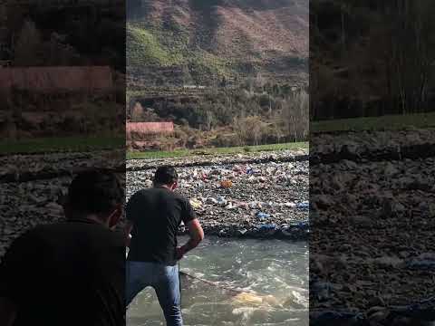 Net casting best way