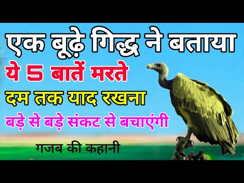 एक बूढ़े गिद्ध ने बताया ये पांच बातें मरते दम तक याद रखना बड़े से बड़े संकट से बचाएंगी