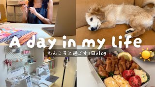 【vlog】5:00から始まるワンコロと私の平日🐶｜ルームツアー🥝💬