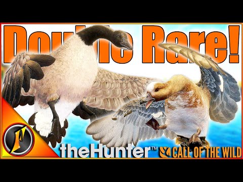 2 AMAZING RARES on Revontuli Coast! | theHunter Call of the Wild