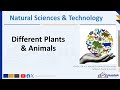 Biodiversity and Life Processes Assessment