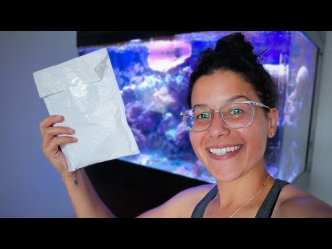 Finally Getting This DONE! It has taken me a few months to get around to this lol but we are getting it done today! A reef tank
