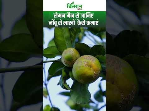 Lemon Man Anand Mishra: नींबू से लाखों कमाते हैं Anand Mishra | Lemon Farming । #shorts