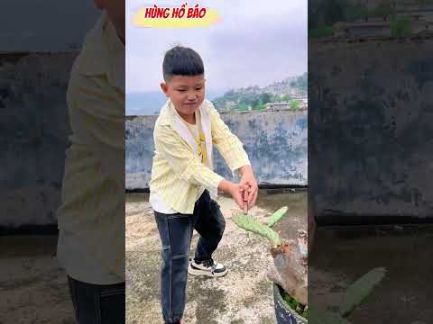 Vùng đất mới và quái vật