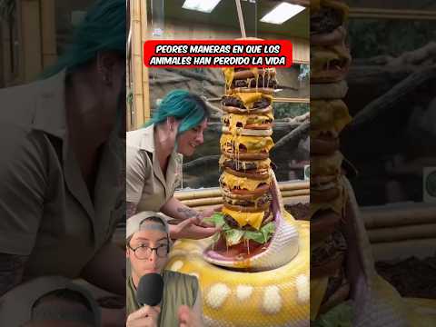 Peores Maneras En Que Los Animales Han Perdido La Vida ๐ #shorts