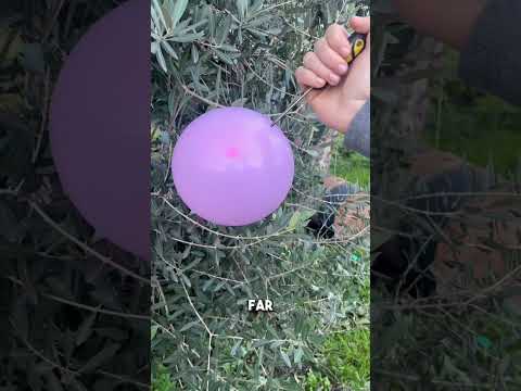 Riesce a far scoppiare un palloncino?